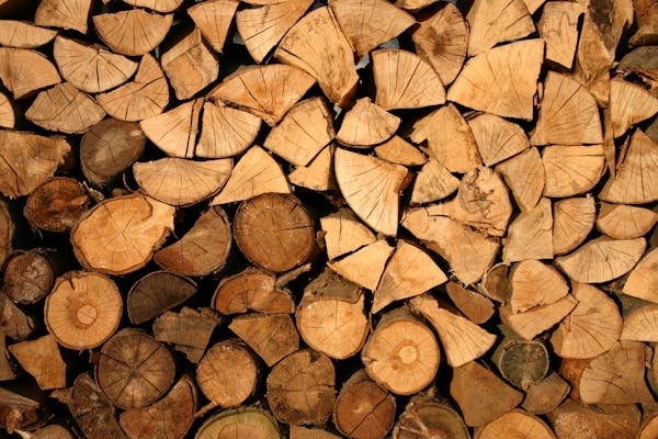 Bois de chauffage energie : guide pour un choix éclairé