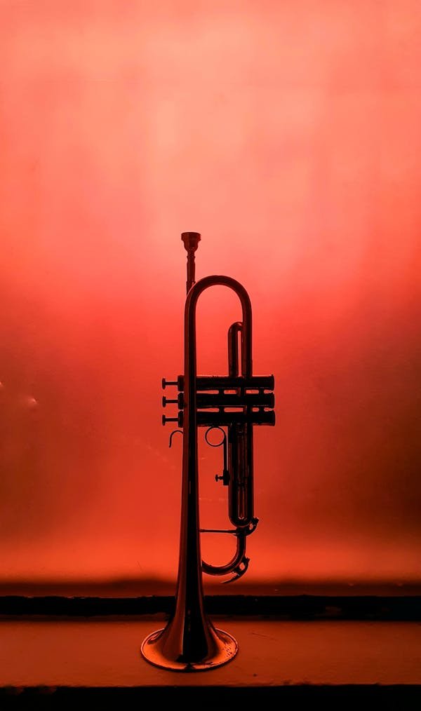 Votre expert des instruments à vent : conseils et choix à reims