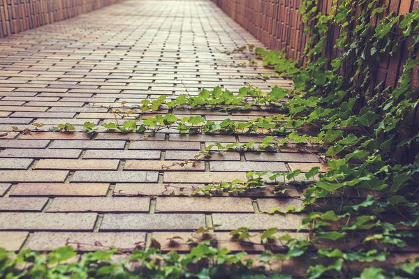 Tout savoir sur le pavé autobloquant : coûts, installation et bénéfices